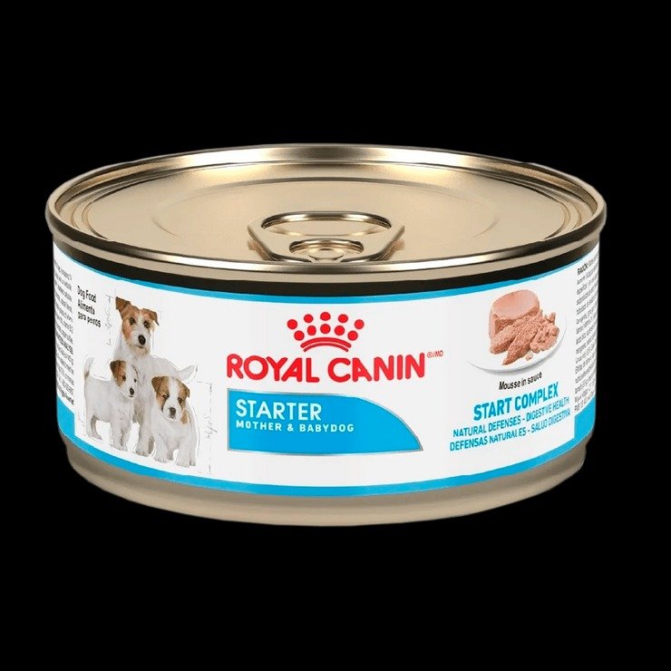 Lata Starter Mous