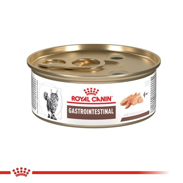 Gastro-Intestinal High Energy Gato Lata